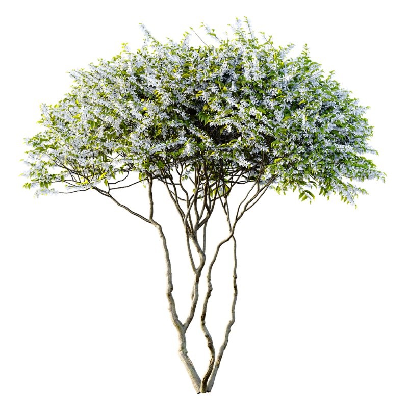 ntal accent plants. Each model is crafted with clean quad-based topology, natural proportions, and high-resolution 4K textures that bring clarity and authenticity to both close-up details and wide landscape shots. - Image 1