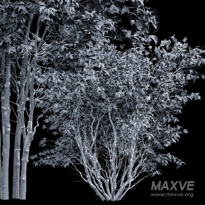 ntal accent plants. Each model is crafted with clean quad-based topology, natural proportions, and high-resolution 4K textures that bring clarity and authenticity to both close-up details and wide landscape shots. - Image 5