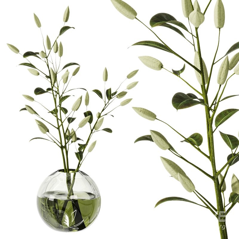 Flowering branch in a vase 02 - Image 1