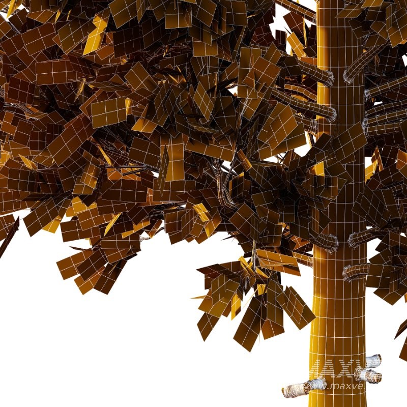 Eastern Red Cedar 02 - Image 6