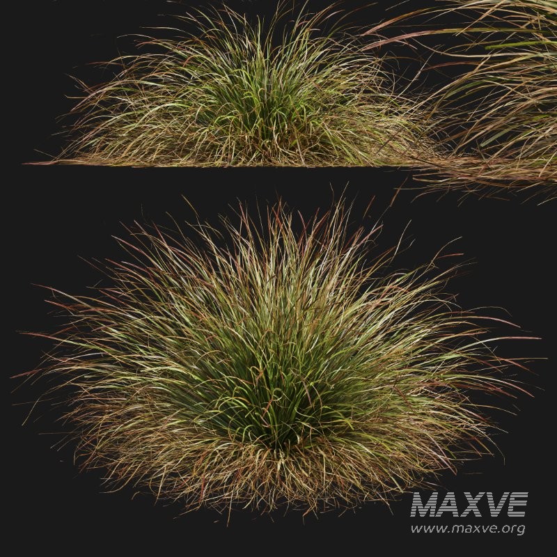ntal grasses. These tufted, wind-swept grasses are modeled with exceptional care to capture their signature arching blades, airy volume, and subtle color variation ranging from warm yellow-greens to earthy bronze tones. - Image 3