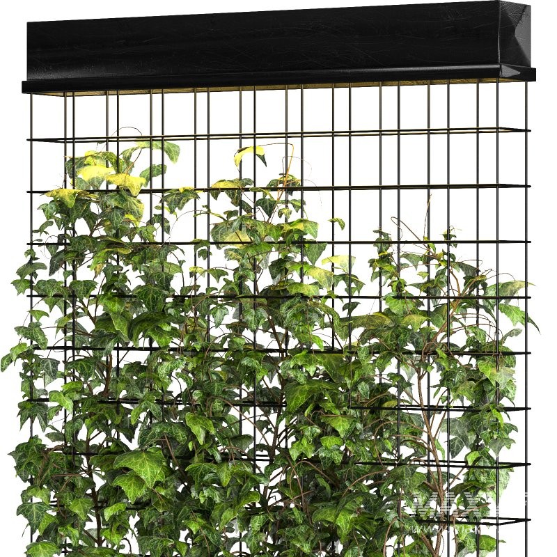 Room Divider Planter - Image 4