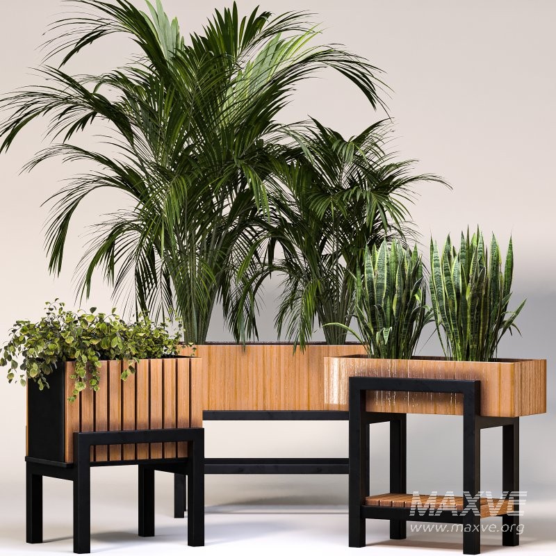 Plant Set 13 - Image 6