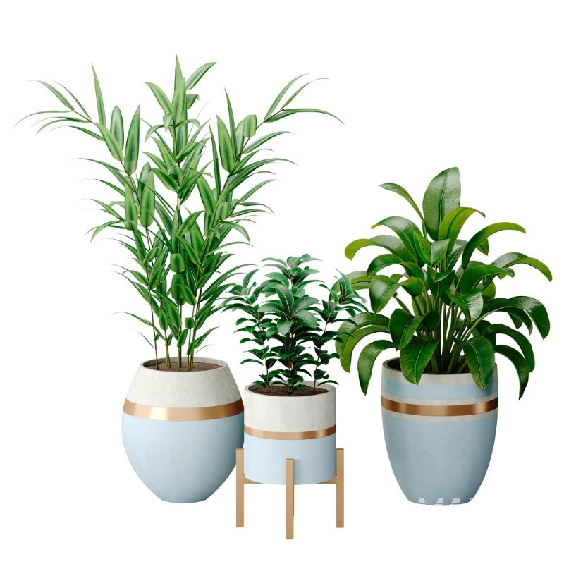 Bouquetofflowers in concrete vase - Image 6