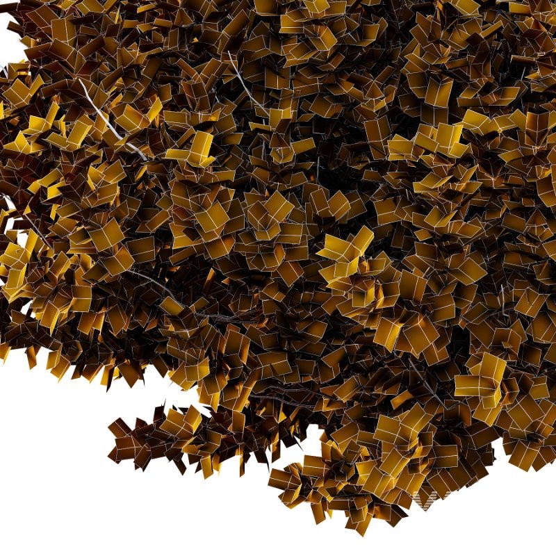 Diffrent Bush 02 Pinus Mugo Frutices Fortescue Euonymus - Image 7