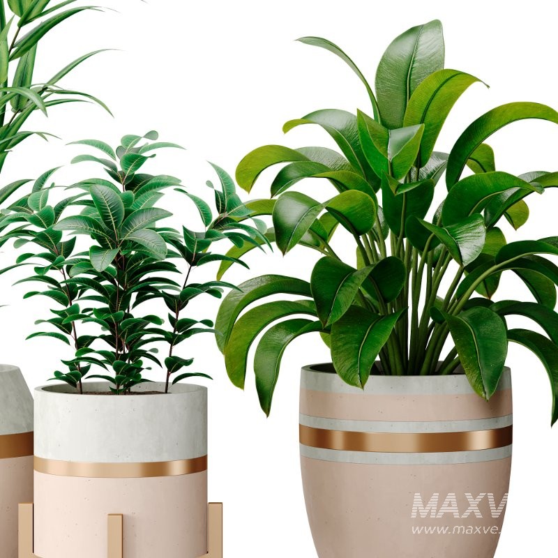 Bouquetofflowers in concrete vase - Image 8