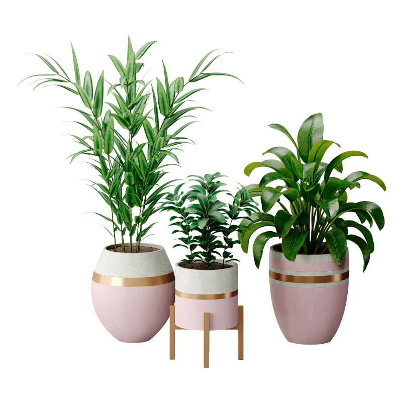 Bouquetofflowers in concrete vase - Image 1