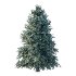 Blue Spruce Tree 02 - Thumbnail 1