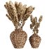 Pampas grass in a wicker pot set58 - Thumbnail 1