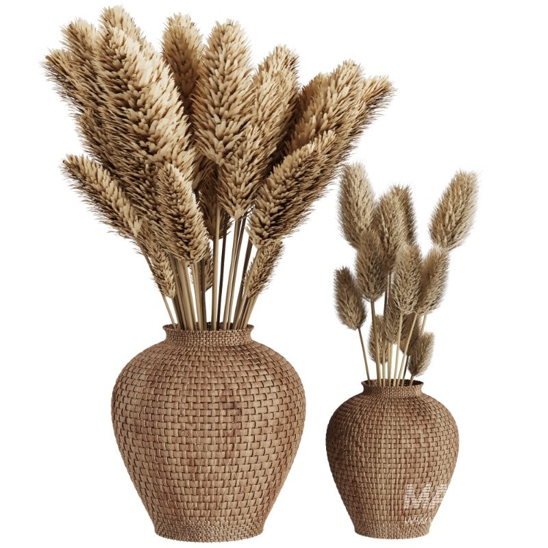 Pampas grass in a wicker pot set58 - Image 1