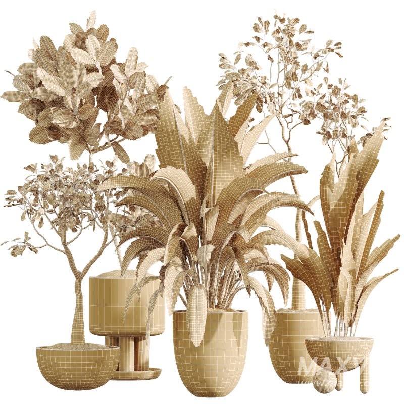 ntal indoor plants, crafted with exceptional realism and artistic balance. Each plant has been sculpted to capture its natural botanical character—from the bold, architectural leaves of the Ravenala Banana to the airy, branching elegance of Ficus Marginata, the rich waxy foliage of Rubber Ficus Elastica, and the clean vertical lines of Aspidistra Elatior. - Image 5