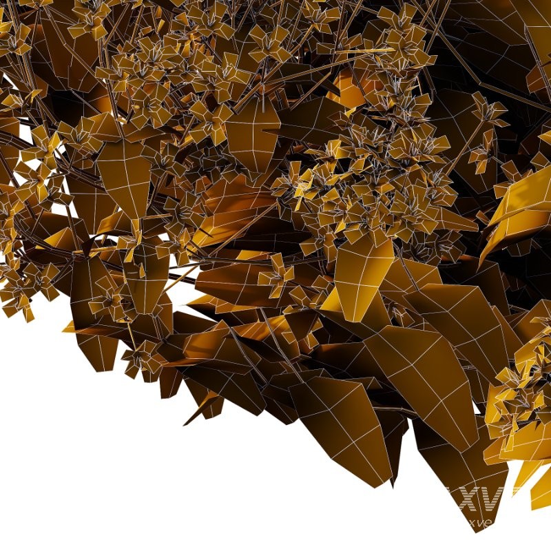 Diffrent Bush Spirea Japonica hydrangea arborescens - Image 4