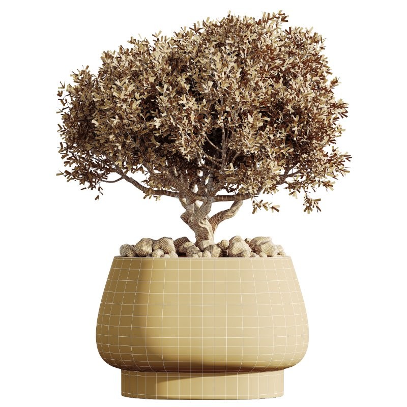 AV Indoor Plants Set 416 Olive tree and Areca Palm and Yucca Elephantipes and Ravenala Banana - Image 9