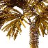 Washingtonia Robusta Palm Tree 04 - Thumbnail 7