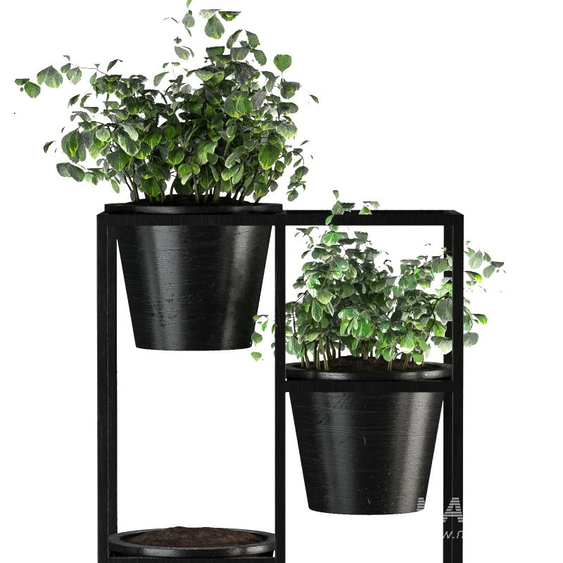 Metal Plant Set 10 - Image 1