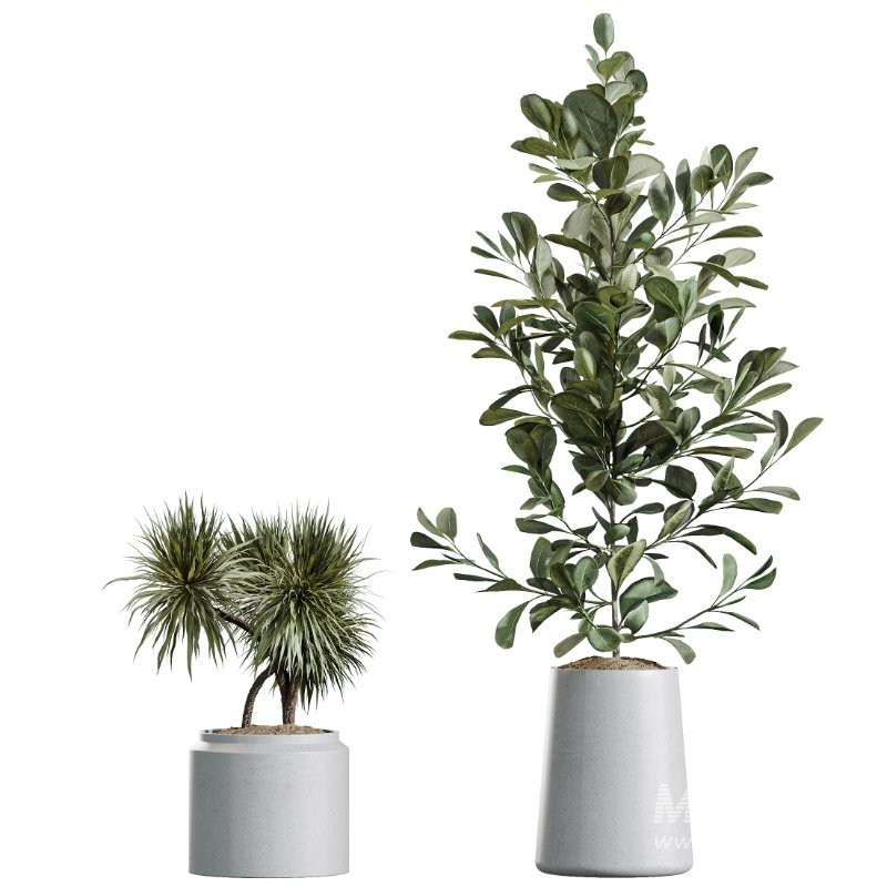 ntal forms, and vibrant fruit detail creates a balanced botanical palette perfect for contemporary homes, minimalist interiors, luxury offices, and commercial spaces. - Image 6