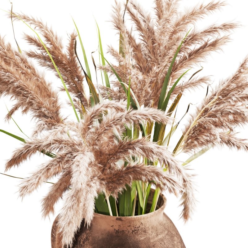 Handcrafted Earthenware Jug with Dried Pampas - Image 4