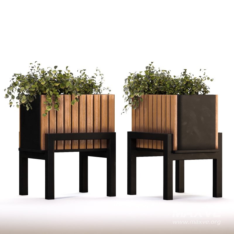 Plant Set 13 - Image 4