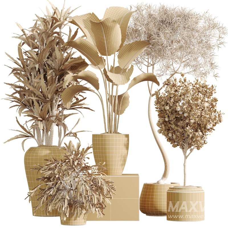 ntal tropical plants. Each model has been meticulously crafted to highlight the unique botanical identity of its species—from the lively fruit-bearing Calamondin Orange tree to the bold architectural leaves of Calathea Lutea, the delicate branching of Ficus Marginata, the lush vertical density of Areca Palm, and the dynamic linear foliage of Lemon Cane Dragon. - Image 8