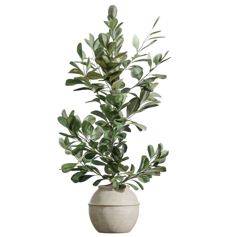AV Indoor Plants Set 429 Palm Euphorbia Olive Ficus - Image 2