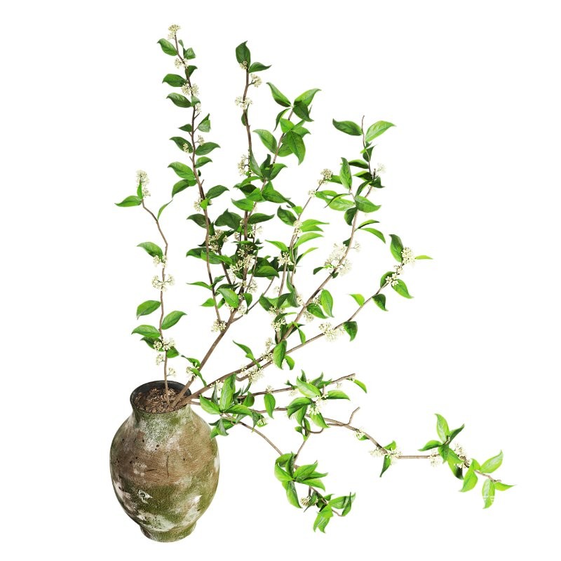 Blooming Twig Arrangement in Antique Pot - Image 1