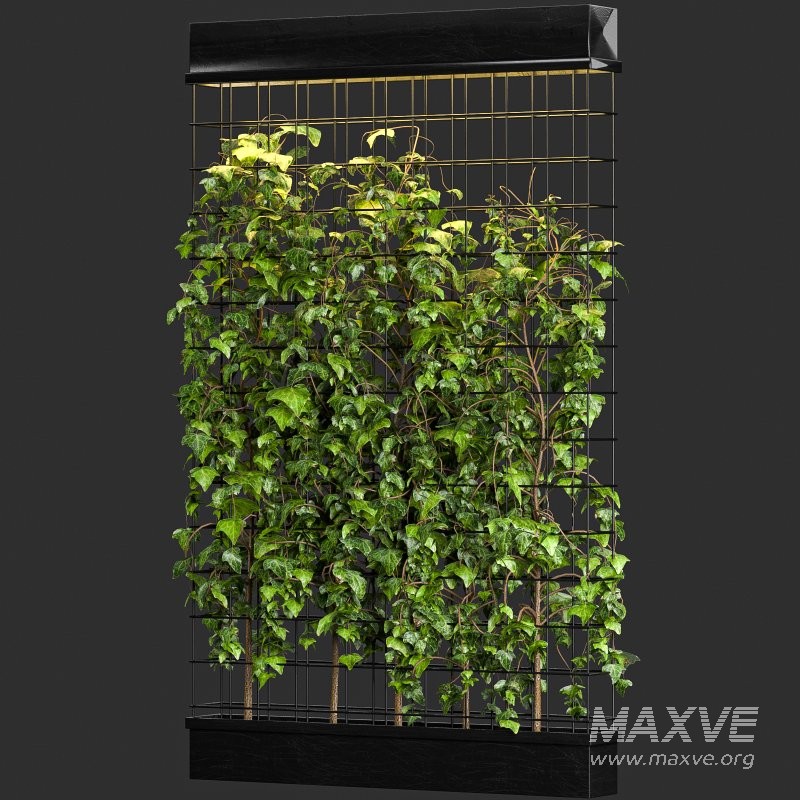 Room Divider Planter - Image 3