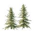 Alaska Cedar Tree 02 - Thumbnail 2