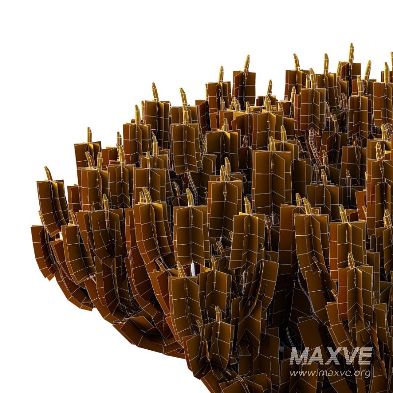 Diffrent Bush 02 Pinus Mugo Frutices Fortescue Euonymus - Image 6