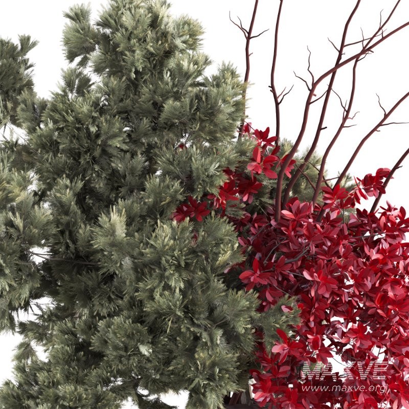 Crimson Accents Pine Vase 48 - Image 4