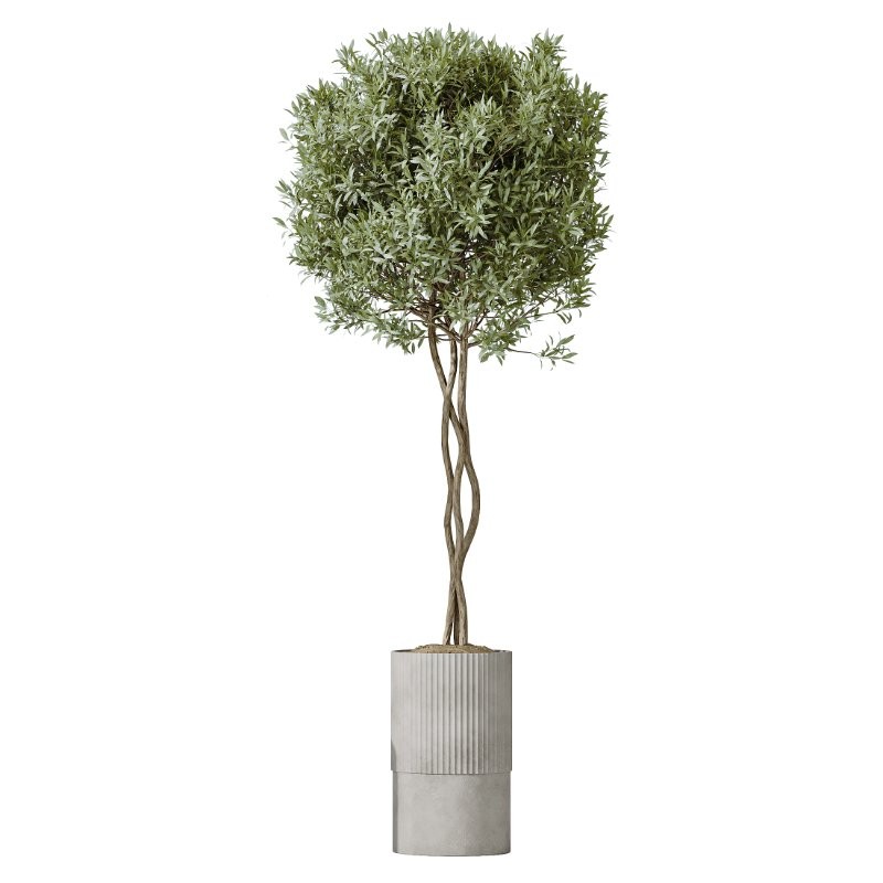 AV Indoor Plants Set 428 Yucca Spathiphyllum Briful Olive - Image 3