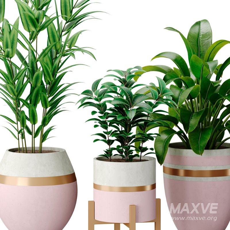 Bouquetofflowers in concrete vase - Image 7