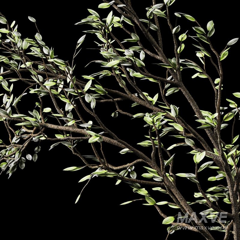 Flowering branch in a vase 01 - Image 4