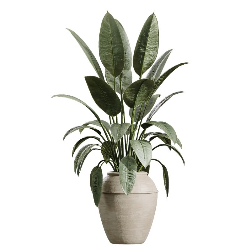 AV Indoor Plants Set 429 Palm Euphorbia Olive Ficus - Image 3