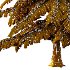 Alaska Cedar Tree 01 - Thumbnail 1