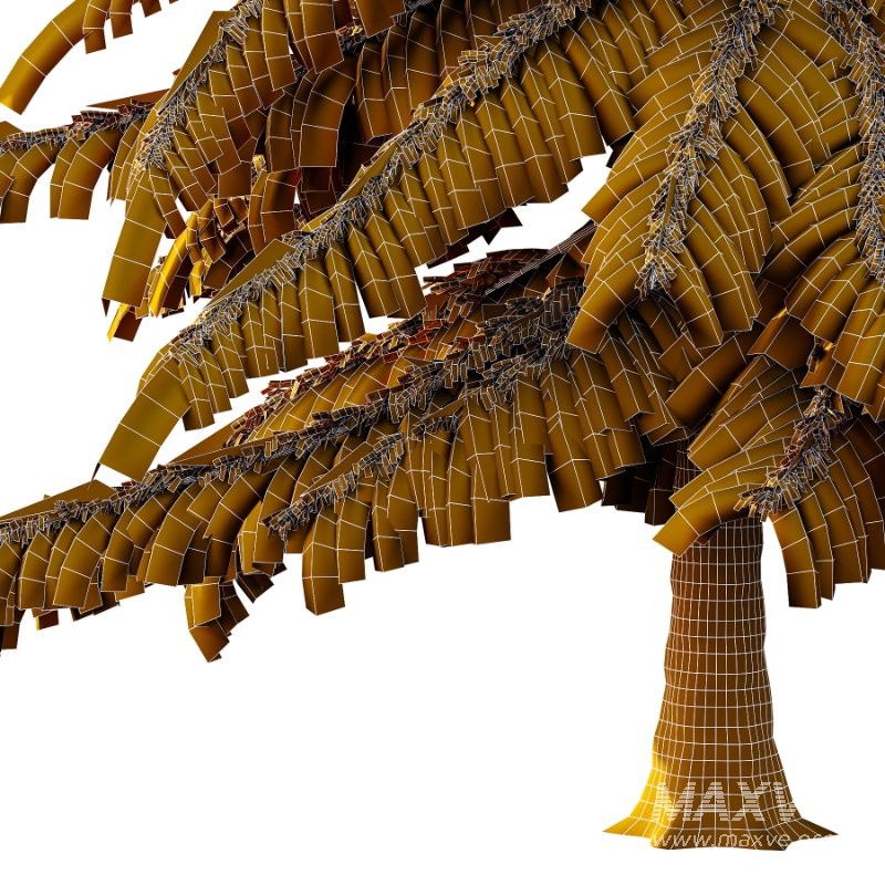 Alaska Cedar Tree 01 - Image 1