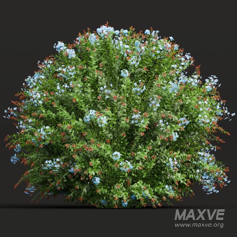 ntal shrubs bring color, texture, and natural density to gardens, parks, residential exteriors, and botanical visualizations. - Image 9