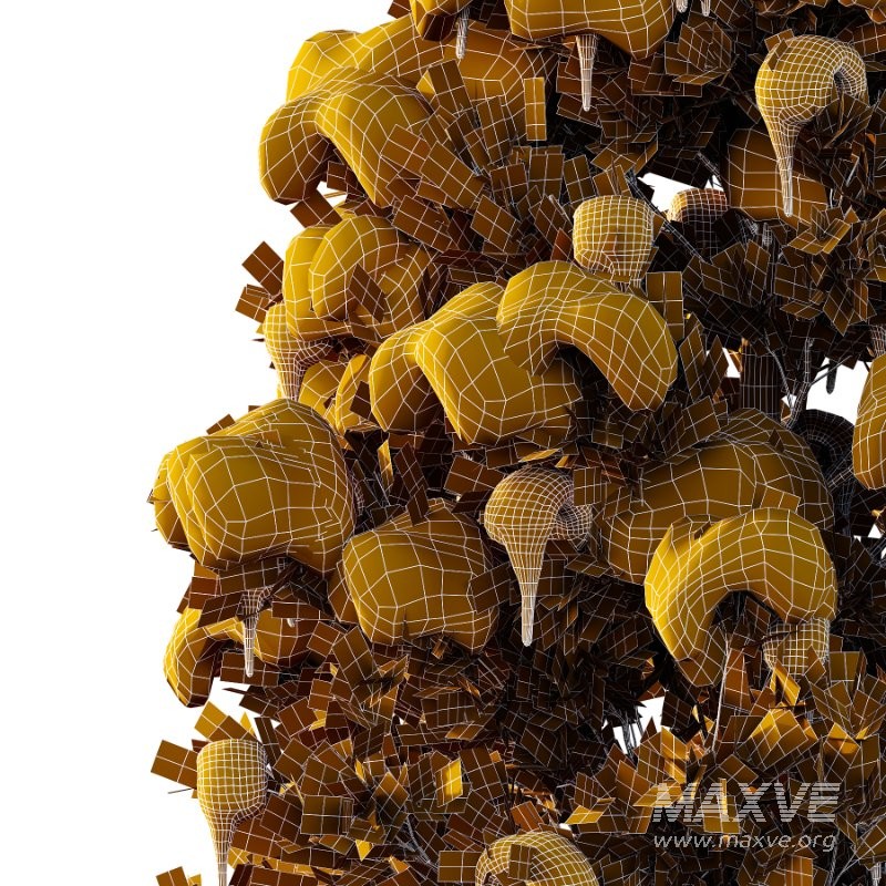 Eastern Red Cedar Winter Tree 01 - Image 3