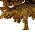 Alaska Cedar Tree 02 - Thumbnail 1