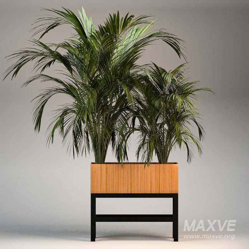 Plant Set 13 - Image 3