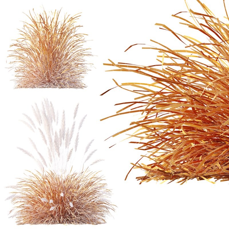 ntal grass set. Featuring the iconic Calamagrostis Acutiflora ‘Karl Foerster’—known for its tall, upright plumes—and the soft, arching forms of Stipa Arundinacea (Anemanthele Lessoniana), this collection captures the subtle beauty and dynamic movement of real-world meadow vegetation. - Image 15