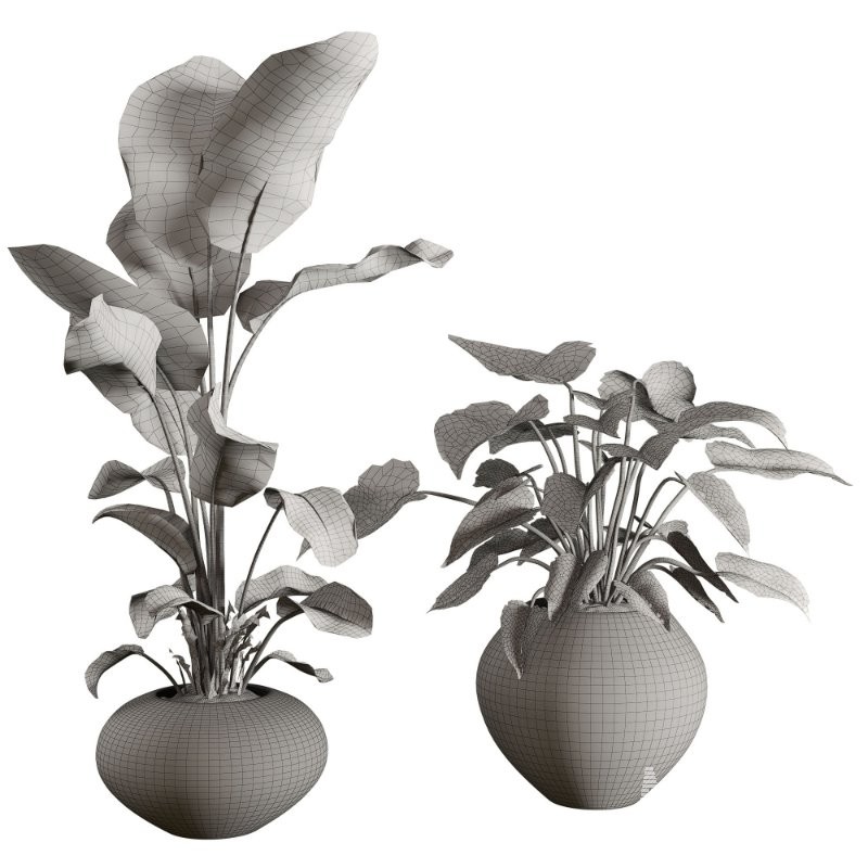 Faux Banana Syngonium in Terracotta Pots - Image 5