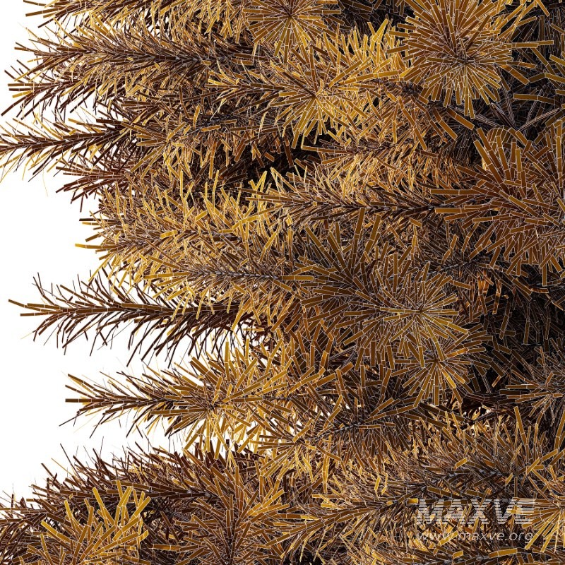 Blue Spruce Tree 02 - Image 3