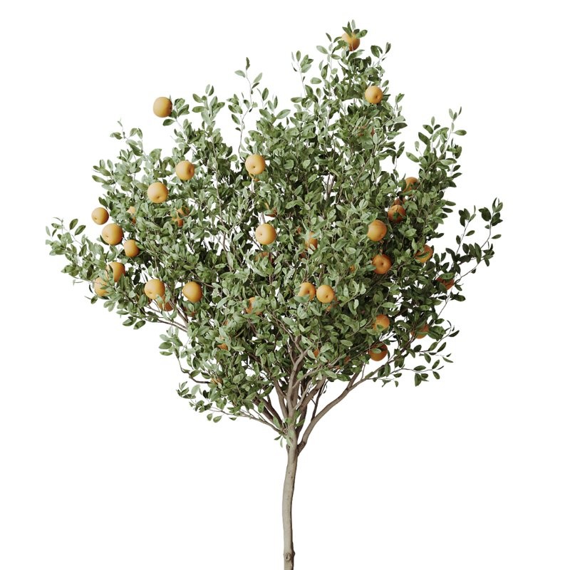 ntal forms, and vibrant fruit detail creates a balanced botanical palette perfect for contemporary homes, minimalist interiors, luxury offices, and commercial spaces. - Image 4