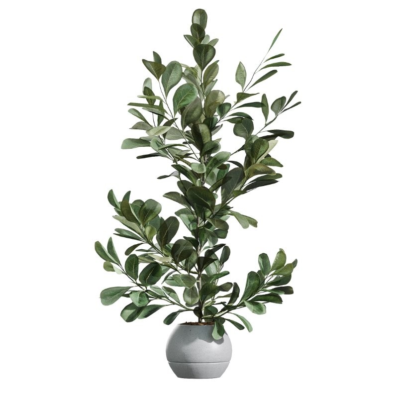 ntal forms, and vibrant fruit detail creates a balanced botanical palette perfect for contemporary homes, minimalist interiors, luxury offices, and commercial spaces. - Image 5