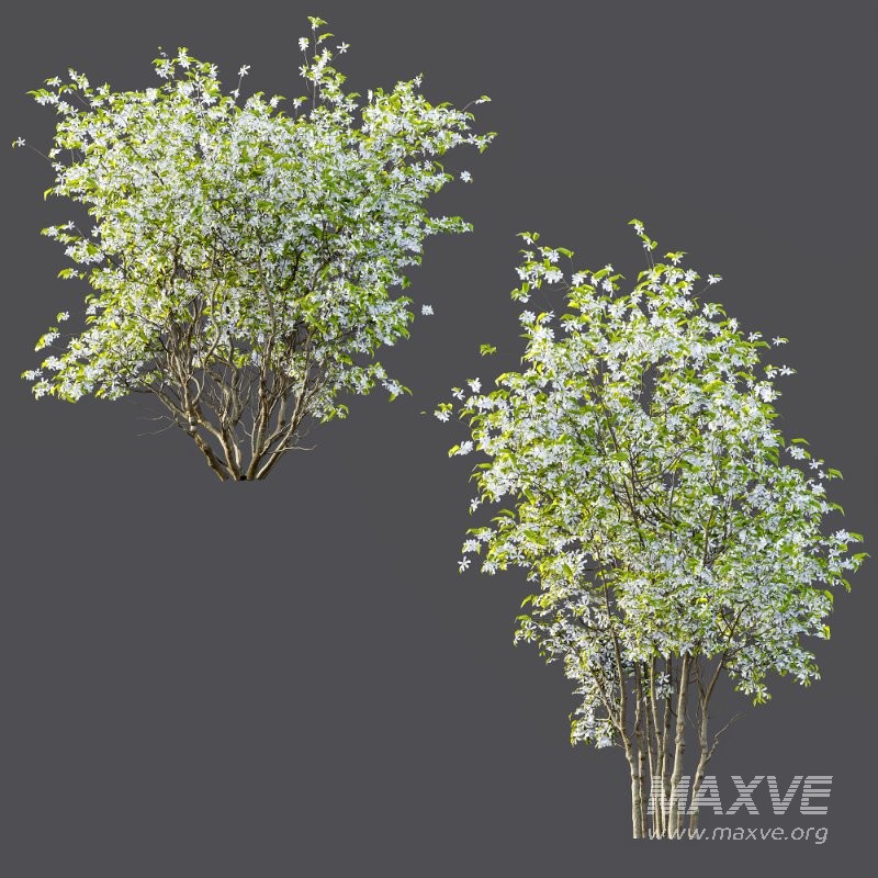 ntal accent plants. Each model is crafted with clean quad-based topology, natural proportions, and high-resolution 4K textures that bring clarity and authenticity to both close-up details and wide landscape shots. - Image 3