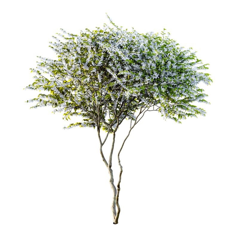 ntal accent plants. Each model is crafted with clean quad-based topology, natural proportions, and high-resolution 4K textures that bring clarity and authenticity to both close-up details and wide landscape shots. - Image 2