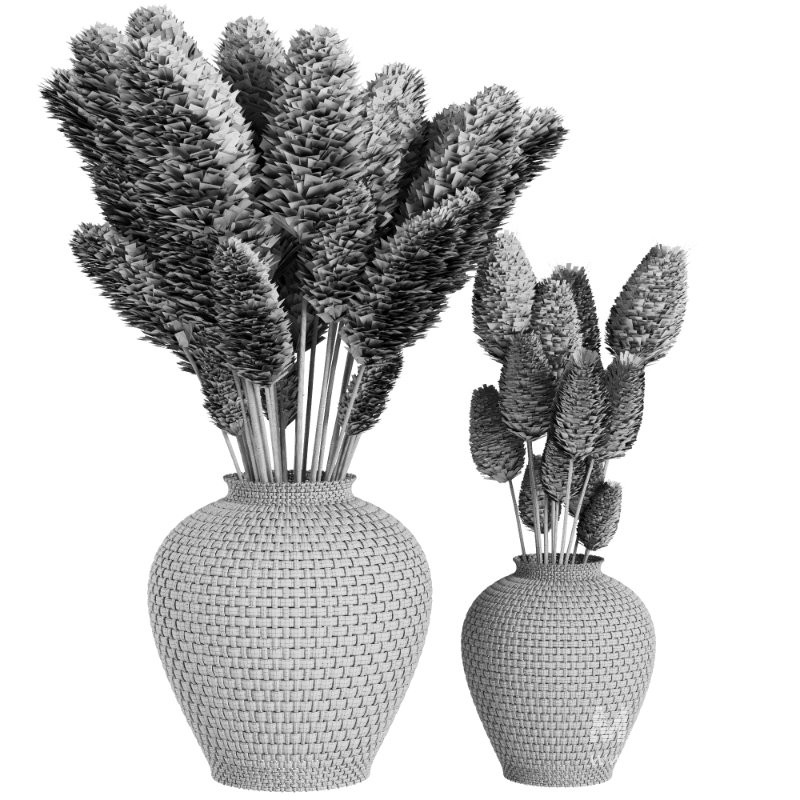 Pampas grass in a wicker pot set58 - Image 4