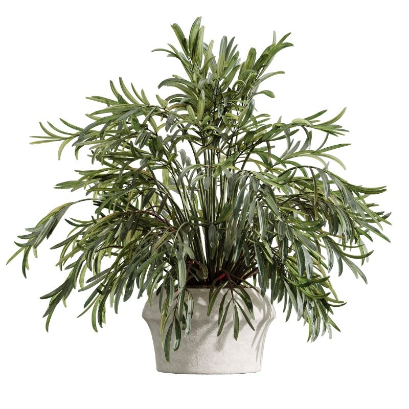 ntal tropical plants. Each model has been meticulously crafted to highlight the unique botanical identity of its species—from the lively fruit-bearing Calamondin Orange tree to the bold architectural leaves of Calathea Lutea, the delicate branching of Ficus Marginata, the lush vertical density of Areca Palm, and the dynamic linear foliage of Lemon Cane Dragon. - Image 3