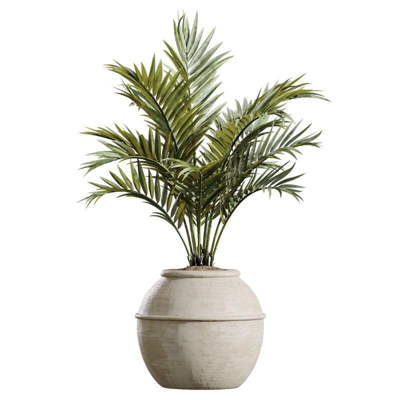 AV Indoor Plants Set 429 Palm Euphorbia Olive Ficus - Image 5
