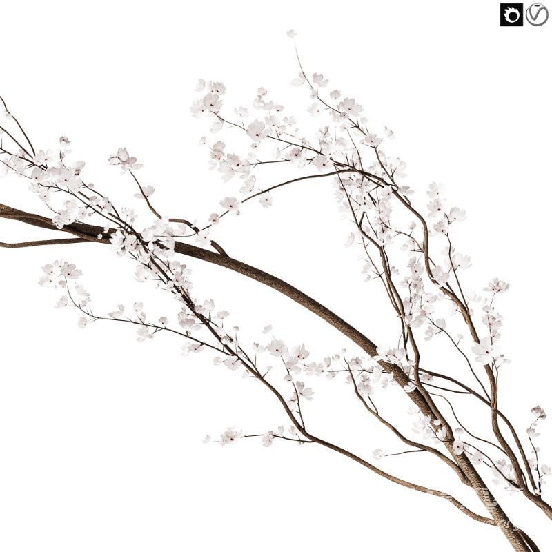 Flowering branch in a vase 04 - Image 2